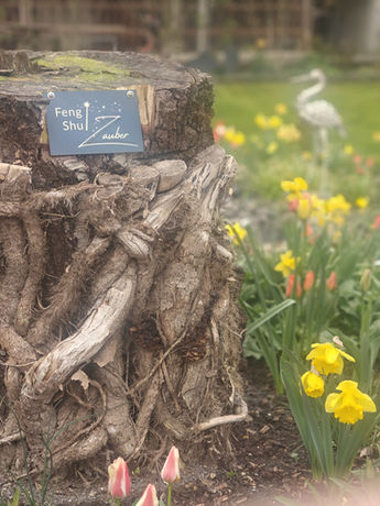 Feng Shui Gartengestaltung Thun