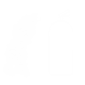 Extended (2) compressed.png
