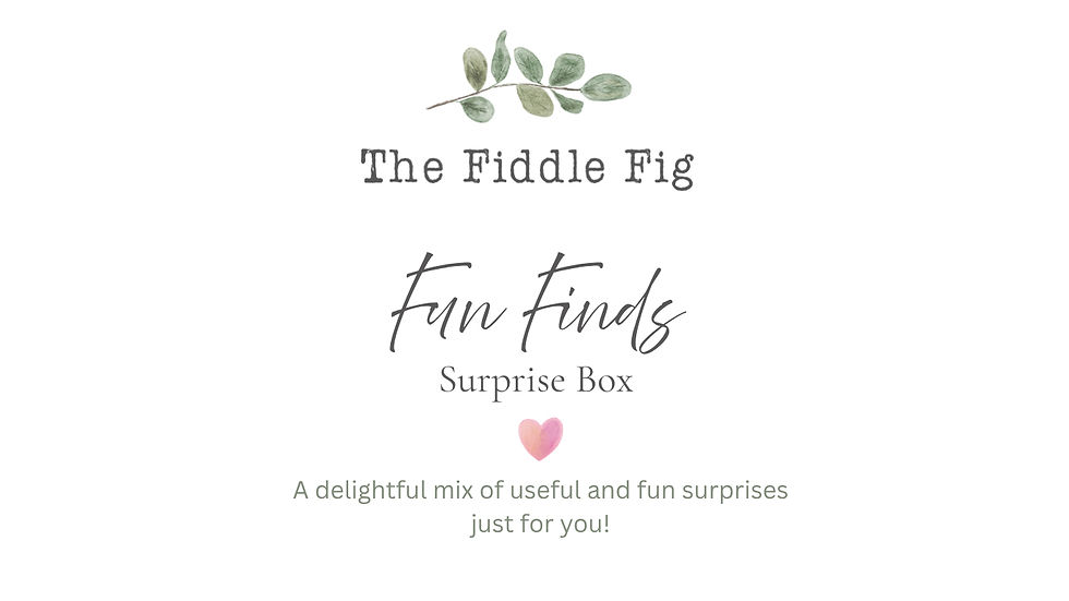 Thumbnail: The Fiddle Fig's Fun Finds Box