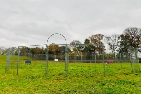 Monarch round pen for restricted turnout 
