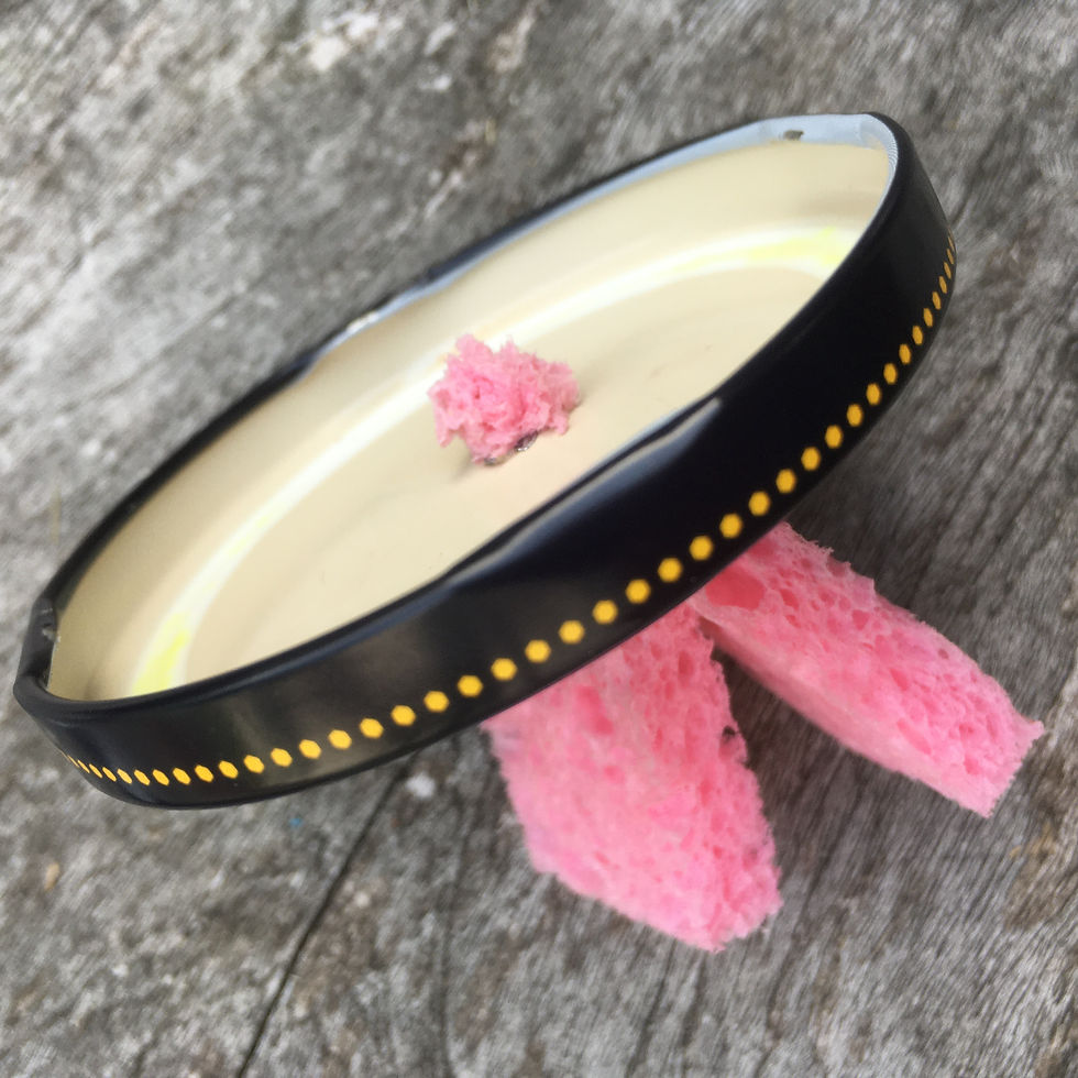 Thumbnail: Make your own jam jar bee feeder