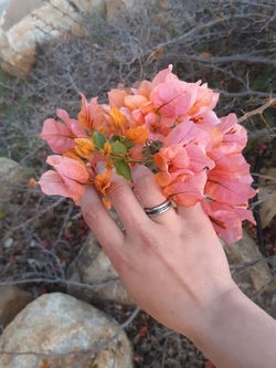 Original Car Crash Ring