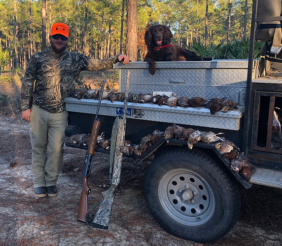Typical Georgia Quail Hunting Trip