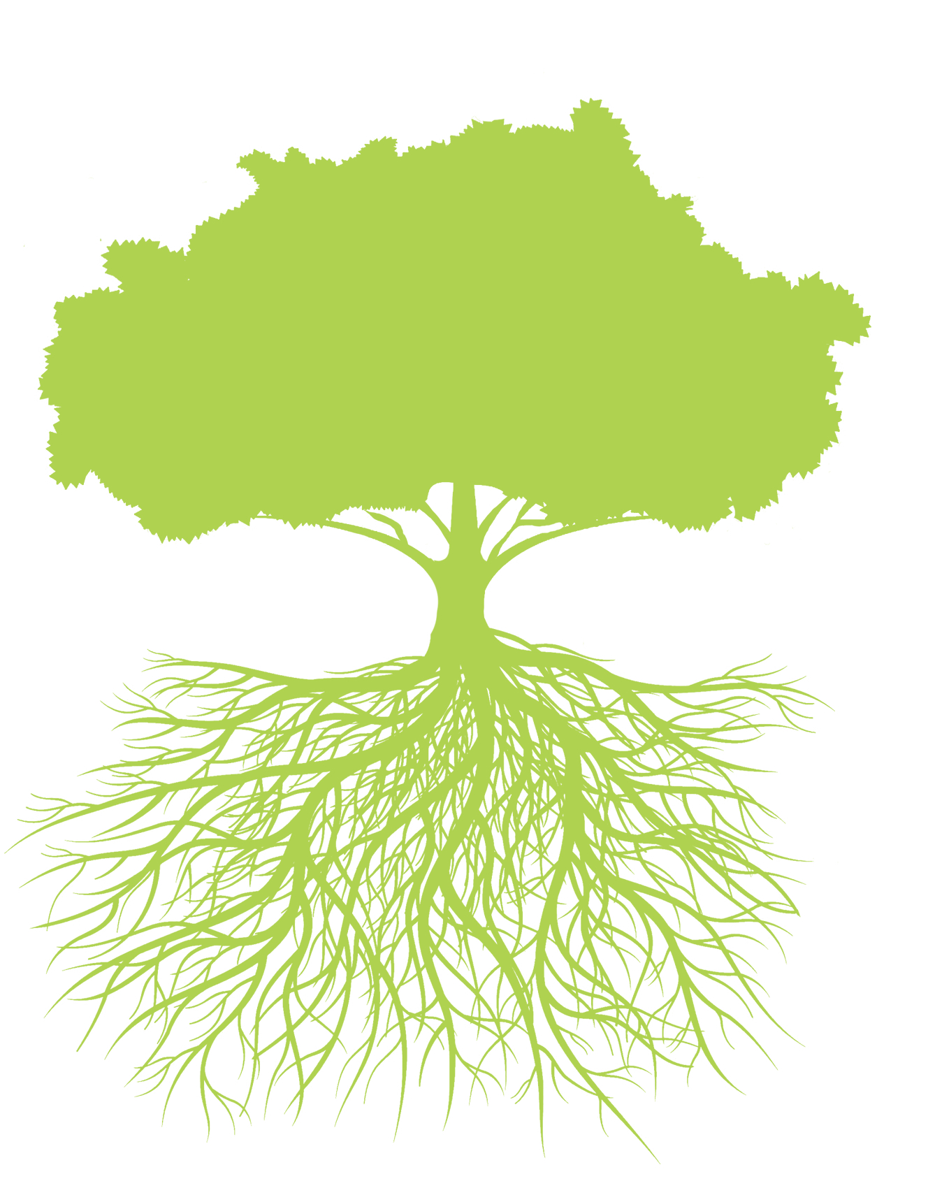 Writer: Healthy Foundations Group