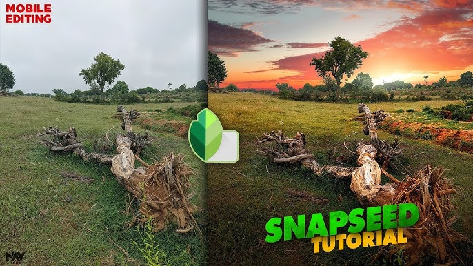 Snapseed Tutorial: How to Edit Wow Photos on Your Shooting Phones