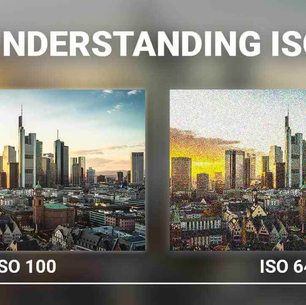 A Beginner’s Guide to ISO in Photography for Shooting Phones