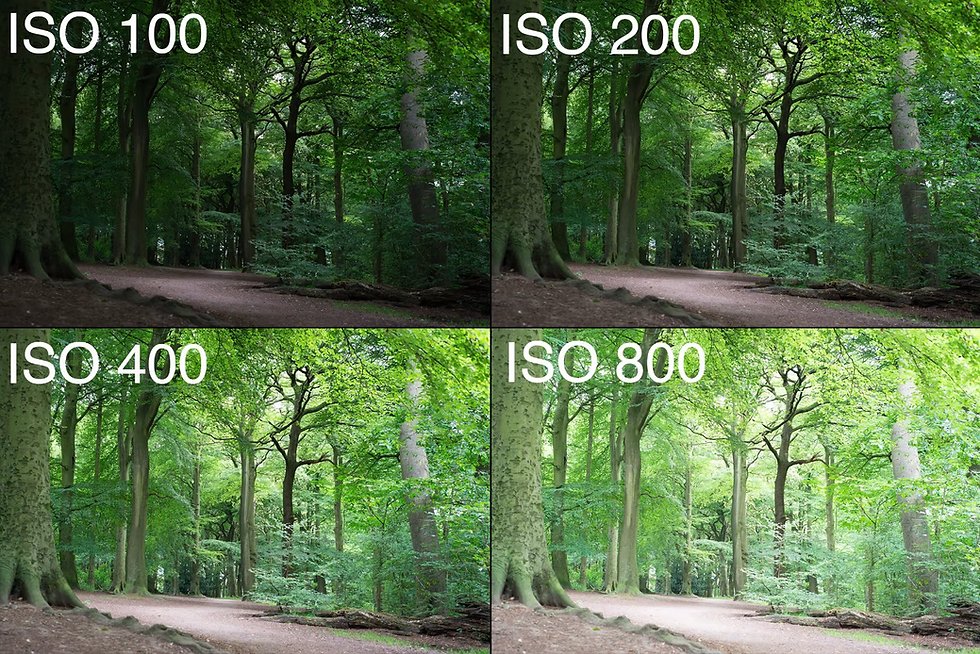 Adjust ISO