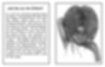 NoteCardsFoldOver-2.jpg