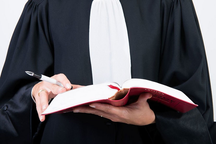 avocats5.jpg