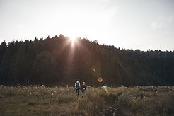 Sonnenuntergang über Wald