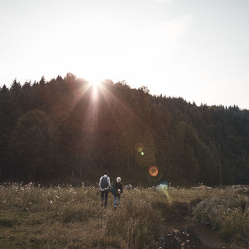 Coucher de soleil sur la forêt