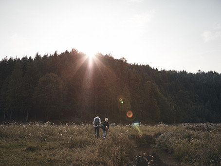 Finding purpose in your career