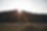 Sunset Over Forest