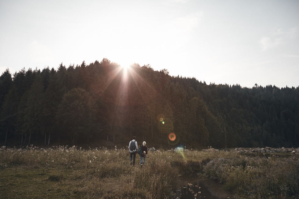 Sonne stehend über den Bäumen