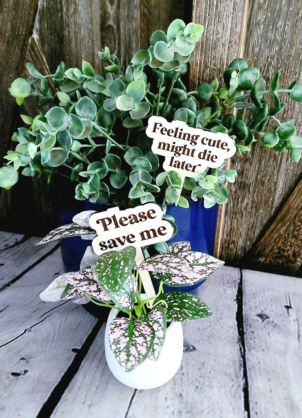 Thumbnail: Funny Plant Stakes