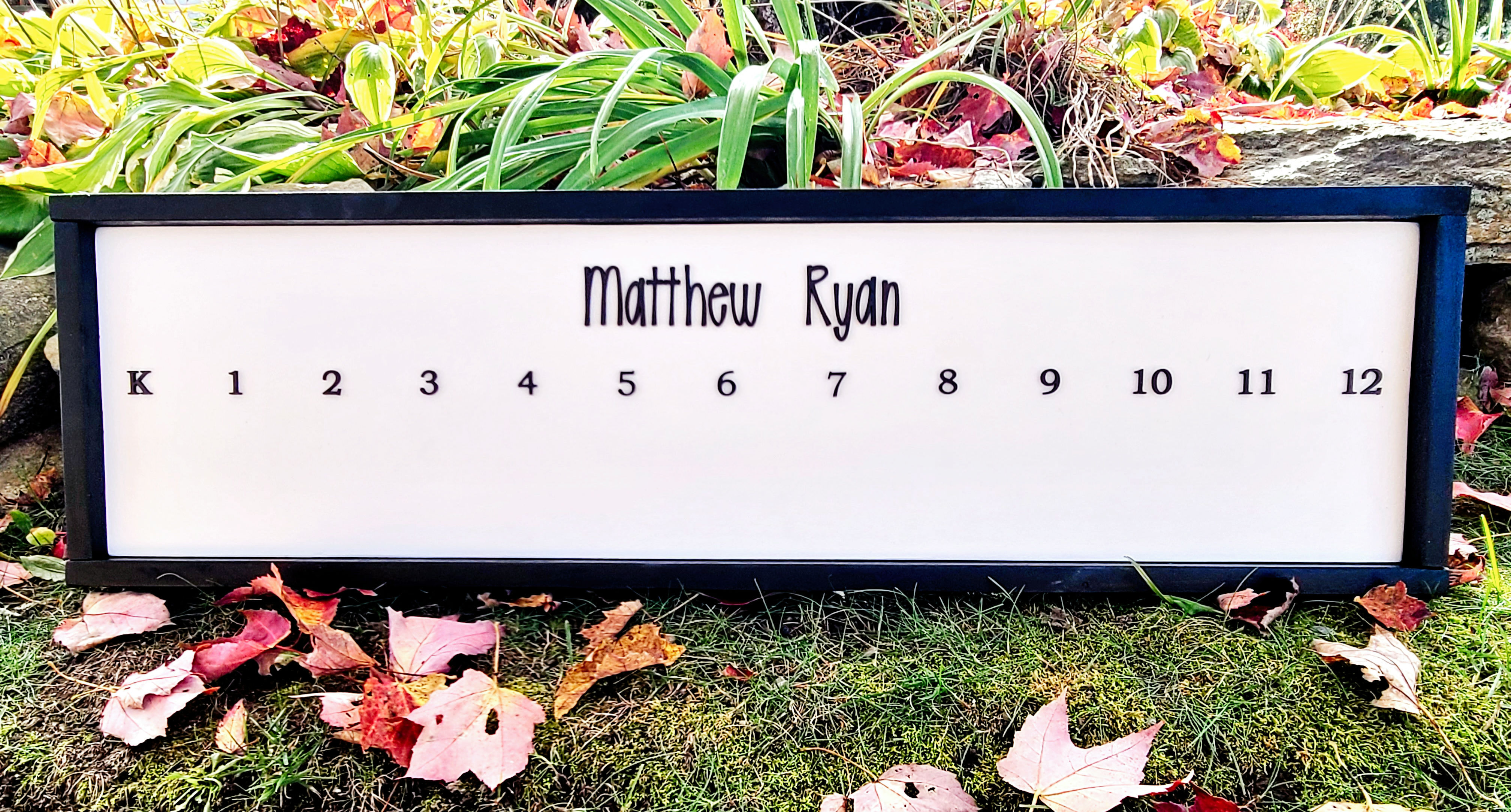 School Photos Framed Display