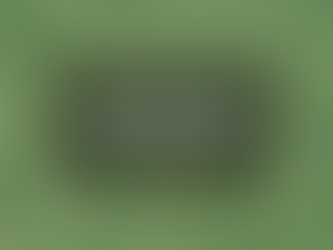 The Google Maps Antitrust Quandary