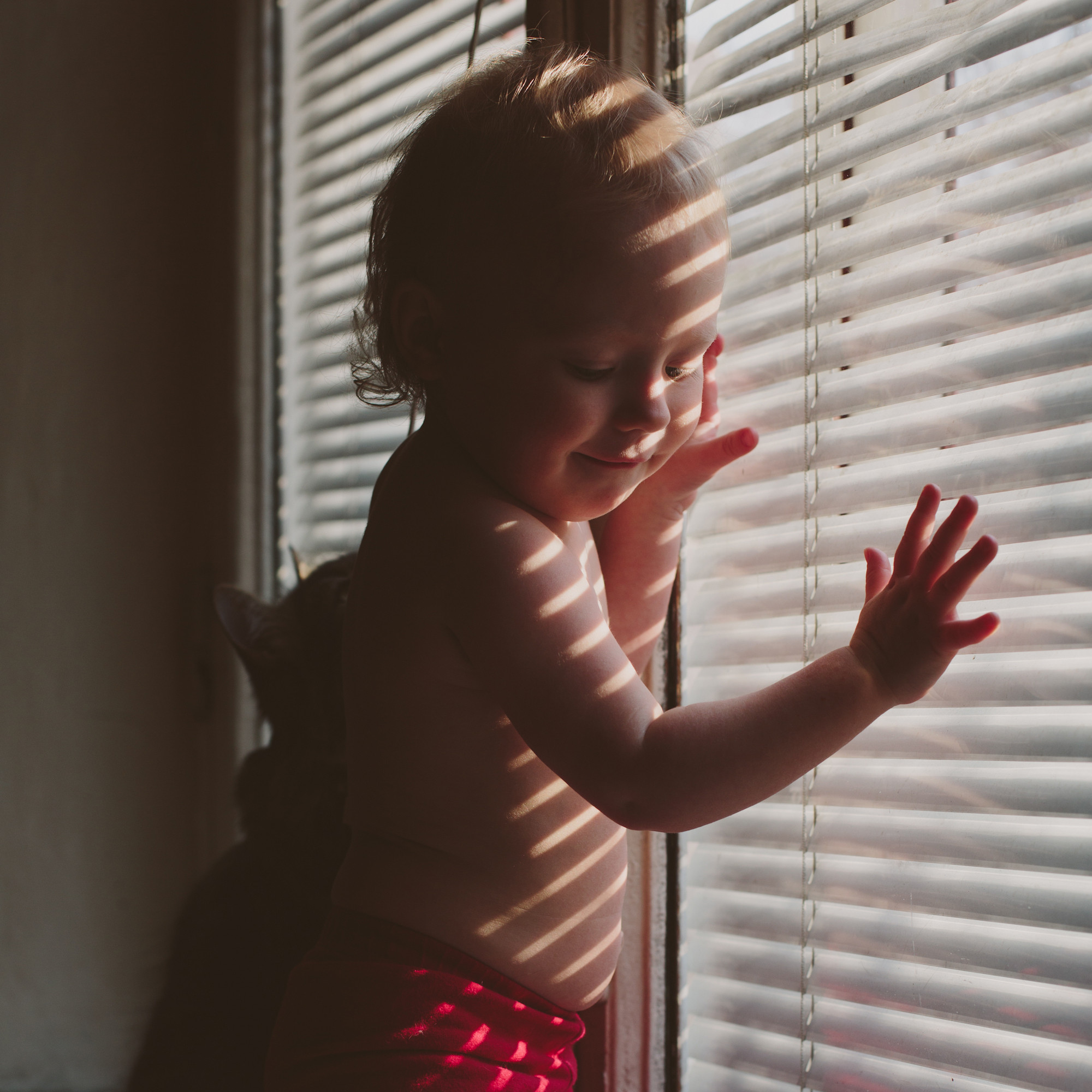 Child Safety Charbel Blinds, RossonWye