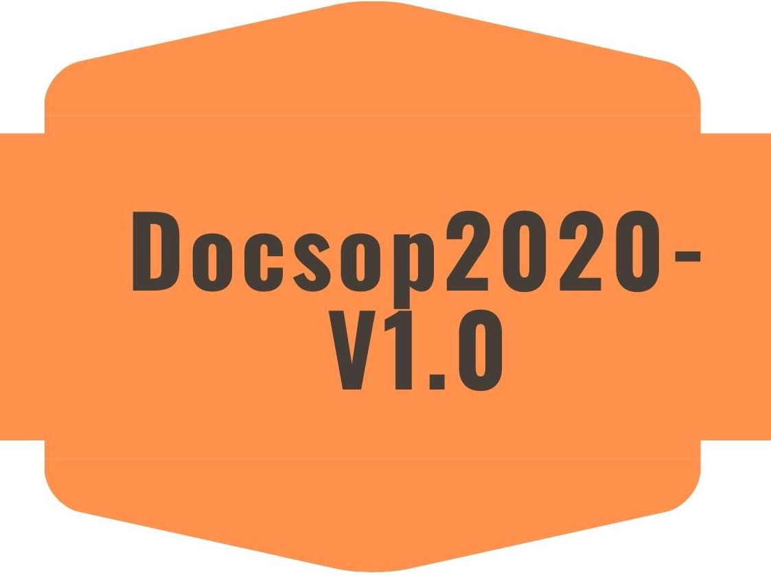 Documento Soporte 2020 Versión 1.0