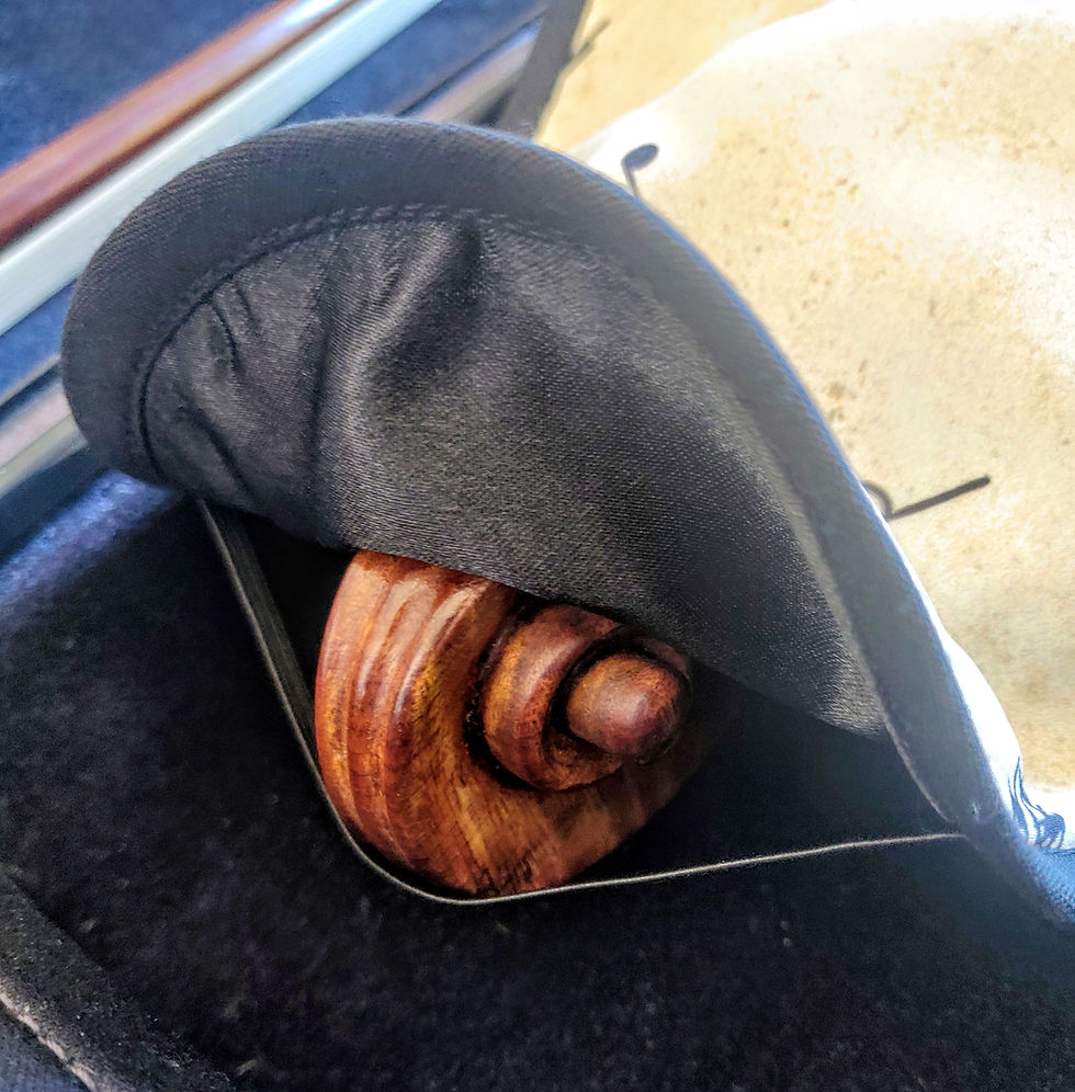 Thumbnail: Viola Blanket Musical Dream