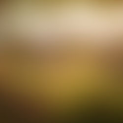 Kunnen blijven wonen waar je geworteld bent