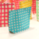 Snap Bag Mint