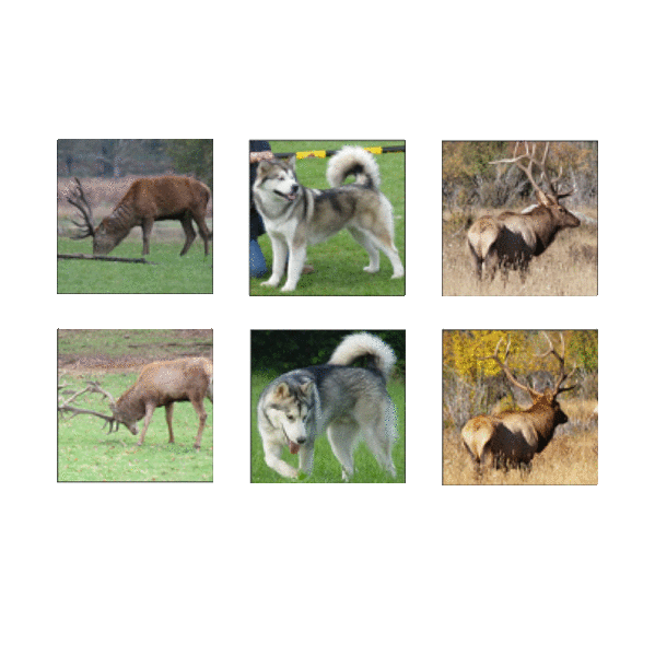 Webp.net-gifmaker-2.gif