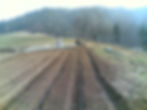 IMPIANTO FRAGOLE