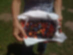 CESTO FRUTTI DI BOSCO