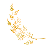 feuilles dorées_edited.png