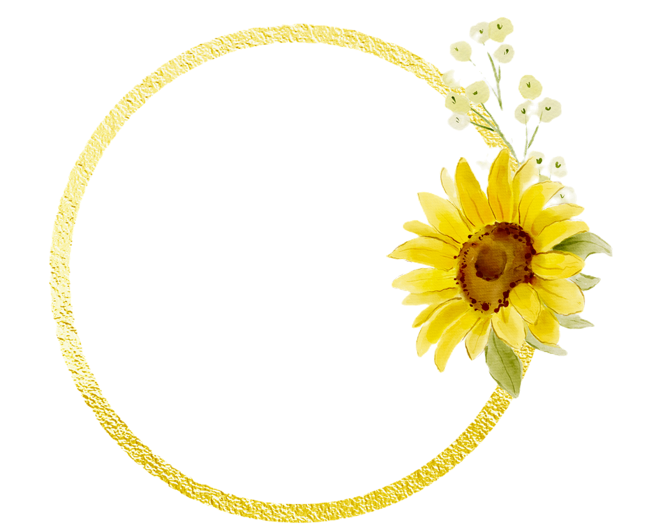 tournesol_edited_edited.png