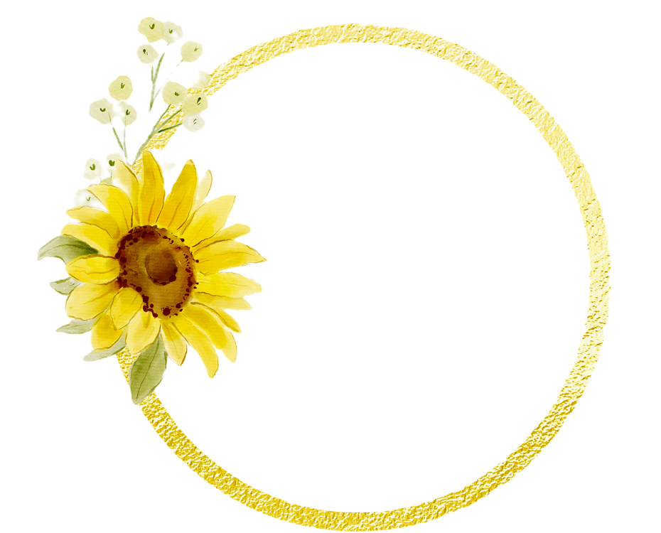 tournesol_edited.png