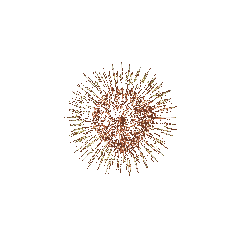 fireworks gif two.gif