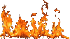fire gif transparent background.gif