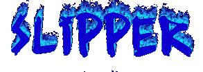 SLIPPER.gif