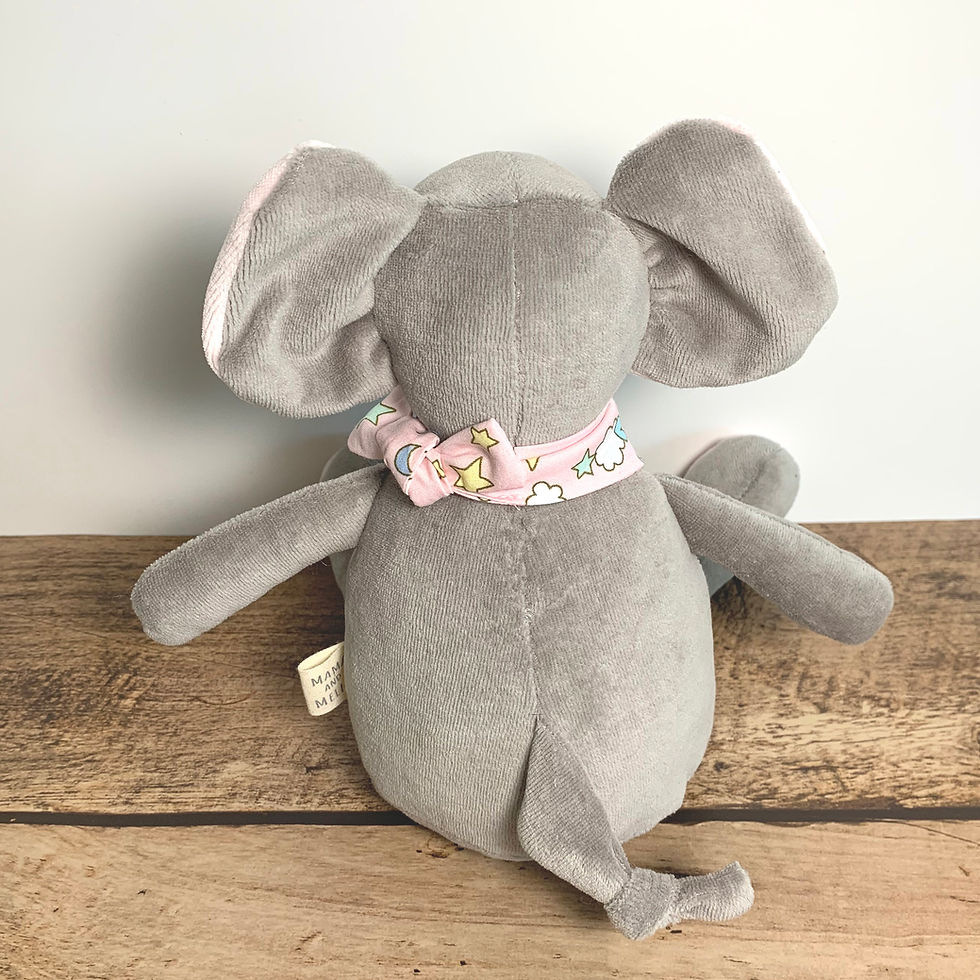 Miniaturbild: Elefant Paula / Paul