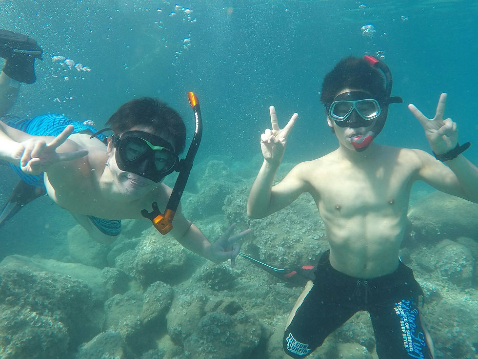 珍しいツーショット