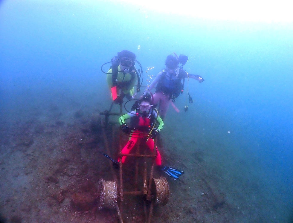 免許未取得です✩