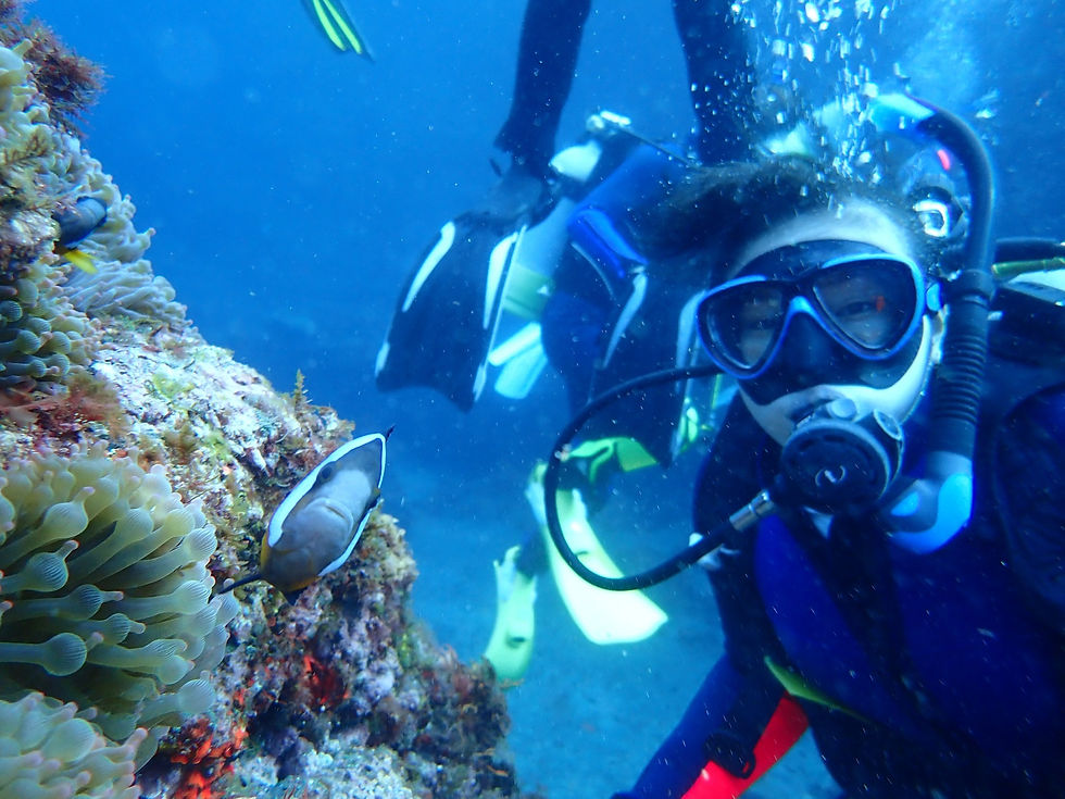 クマノミだって写真に写りたい📷