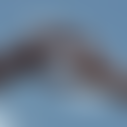 Setting your intentions for 2024