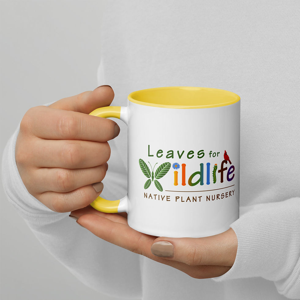 Thumbnail: Colorful Mug