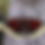 Thumbnail: Willow, Black, Salix nigra