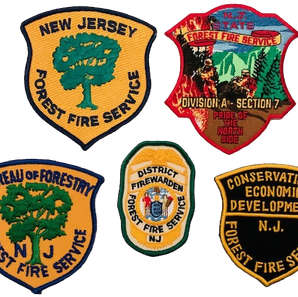 Forest Fire Service_edited.png