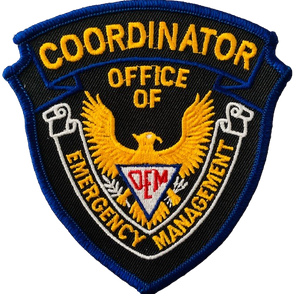 OEM Coordinator_edited.png