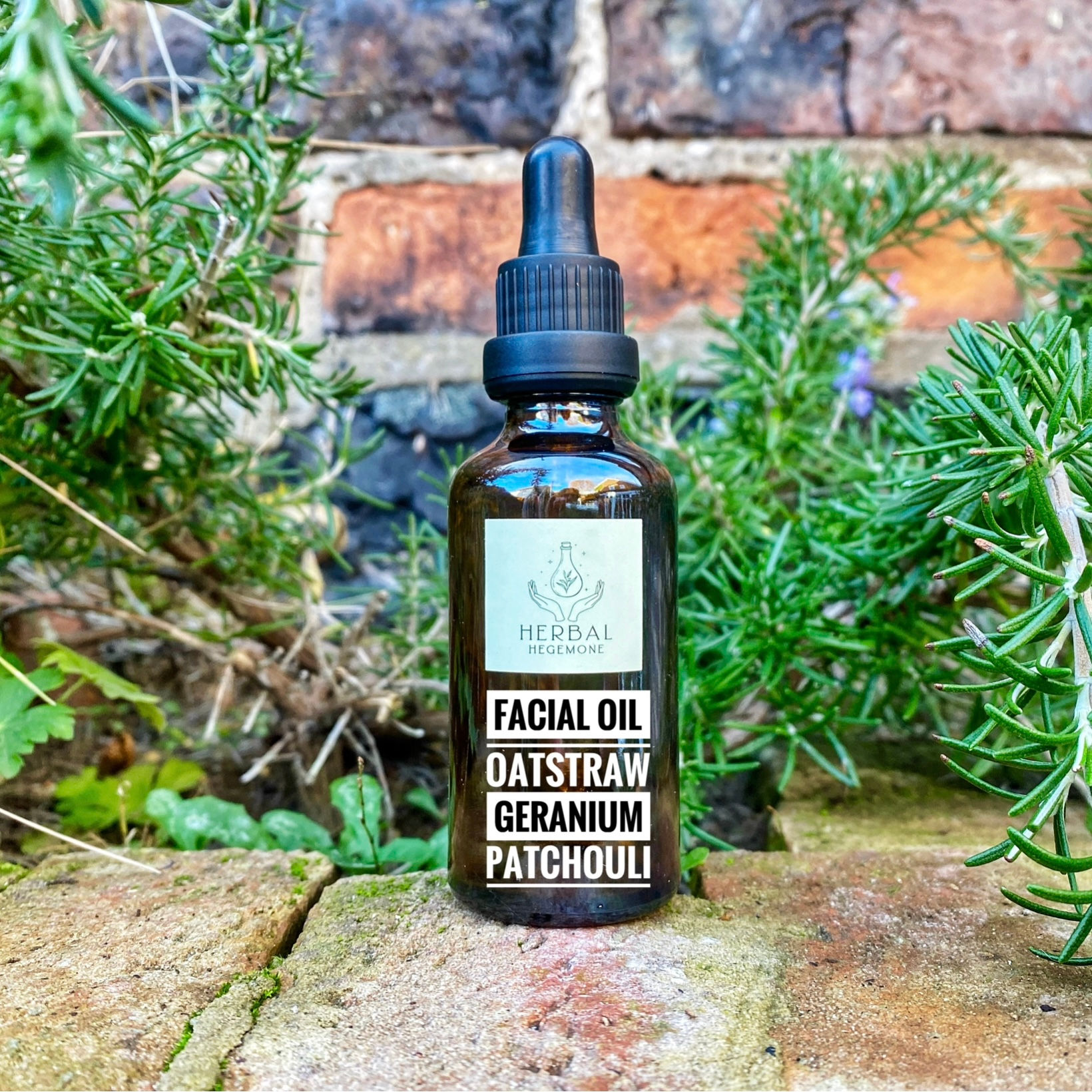 Facial Oil - Oatstraw, Geranium & Patchouli