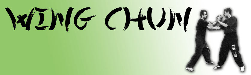 wing chun toulouse