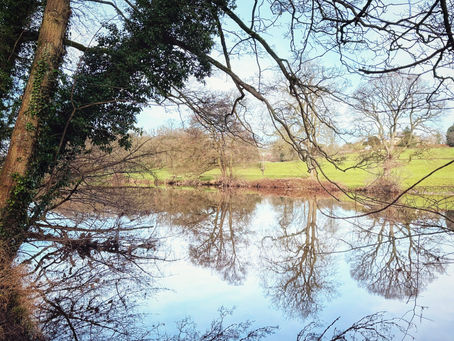 Verbeia of the River Wharfe