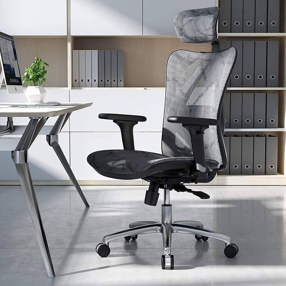 SIHOO M57 Office Chair