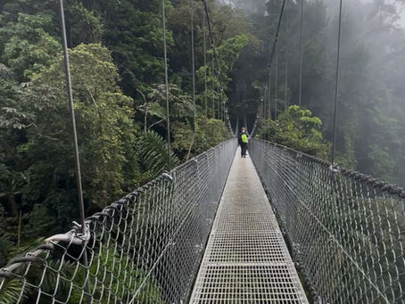 Ultimate Guide to Mistico Hanging Bridges