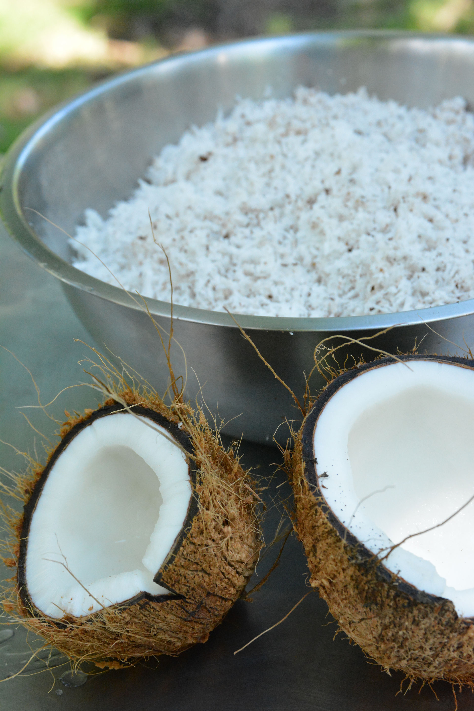 Coconut and shavings